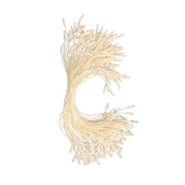 Polyester Hang Tag with Lock Labels String Natural Cord Bullet Clasp for Price, Gift Tags, Fashion Apparels Clothing, Jewelry, Luggage Accessories 20cm 200PCS Beige