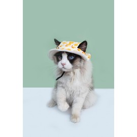 Cat Hat Summer | Dog hat |Adjustable Strap | Pet Headwear for Cats and Small Pets|2 Styles Novelty Design | Pet Clothing Accessories | Outdoor Travel Streetwear Accessory | puppy (Blue)