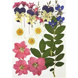 Flores secas Ligeras, Hermosas Plantas secas, Adorno de, Arte de uñas, Flores prensadas, Pegatinas DIY para Velas de aromaterapia, Tipo 6