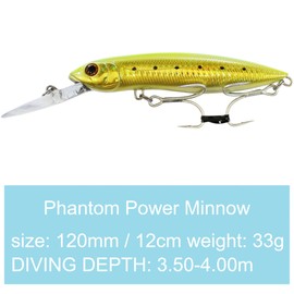 SEABUZZ Power Minnow Wobbler for Pike & Zander & Perch 33 g 12 cm Flat Runner 3.5-4 m - 2 Treble Hooks Fishing Lures - Predator Fishing Bait - Artificial Bait - Pike Bait - Fishing Lures - Fishing