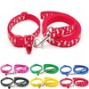 Doggie Style Store Small Dog Puppy Pet Collar and Lead