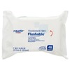 Equate Flushable Wipes, Fragrance Free, 3 packs of 48 wipes