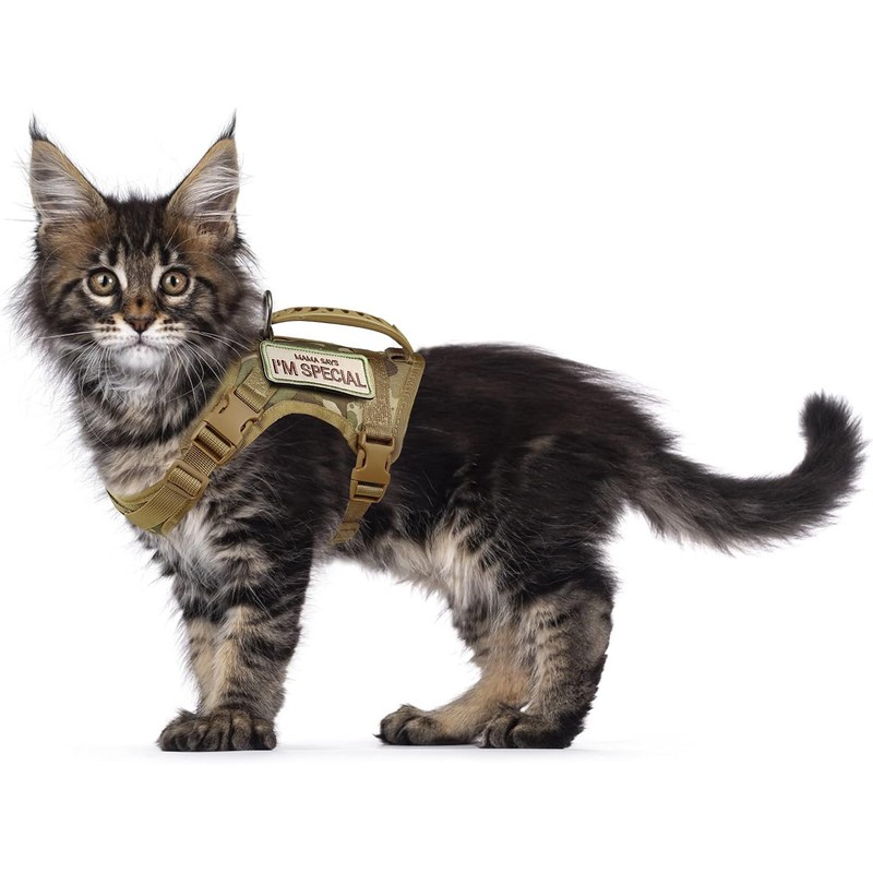 Arnés táctico para gatos para caminar a prueba de escapes,