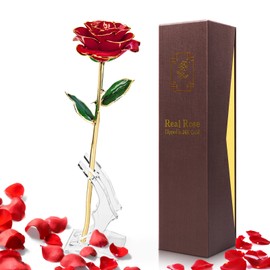 Yolife 24k Gold Dipped Real Rose Lasted Forever with Transparent Stand, Best for Her - for Valentine’s Day Mother’s Day Girlfriend Wife Birthday Wedding Flowers(Red)