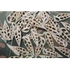 10pc Natural Cerithium Vertagus Seashells, Sliced Cut, 1.5-2 inch, White