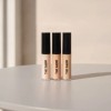 THESAEM 2PACK Cover Perfection Tip Concealer 10colors 4111390 1.75 Middle