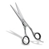 DZ Hair Scissors Offset Design Sharp Hairdressing Scissors 6 Inch