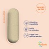 Vihado Multivitamin Tablets High Dose 26 Vitamins + Minerals +