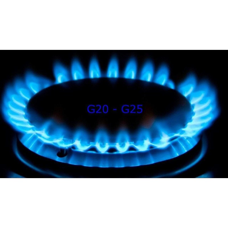 Tezla LPG to Natural Gas Conversion Kit Intended For Leisure,