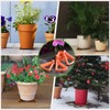 LeafLassie Plant Pot Feet for Outdoor Planters, 24PCS Invisible Flower