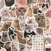 100 Pcs Doodle Stickers DIY Cat Stickers Idea Cup Computer