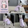 Cat Surgery Suit Surgical Cat Professional Recovery Suit for Abdominal