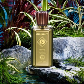 Hybrid & Company Magnum Paris For Men Eau De Toilette Vaporisateur Natural Spray 3.4 Fl Oz