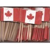 100 Miniature Canada Toothpick Flags, Small Mini Canadian Flag Cupcake