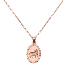 AURSTORE 12 Zodiac Signs Necklace Stainless Steel 12 Zodiac Signs with 45cm Chain + 5cm Extender Charming and Elegant 3 Colours to Choose From, Pink, Women, Girls, Stainless Steel, Stainless Steel