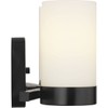 Progress Lighting P300021-031 Elevate Bath & Vanity, Black