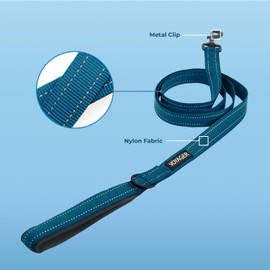 Voyager Reflective Dog Leash with Neoprene Handle, 6ft Long, Supports Small, Medium, and Large Breed Puppies, Cute and Heavy Duty for Walking, Running, and Training - Blue, L