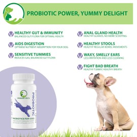Primary Pets Premium Pet Supplies – Probiotics for Dogs with Prebiotics, 60 Powder Capsules, Supports Gut Health, Digestion and Immunity, Dog Probiotic Supplements for Gut Health