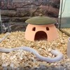Terracotta Reptile Cave with Green Lid - 8 * 6