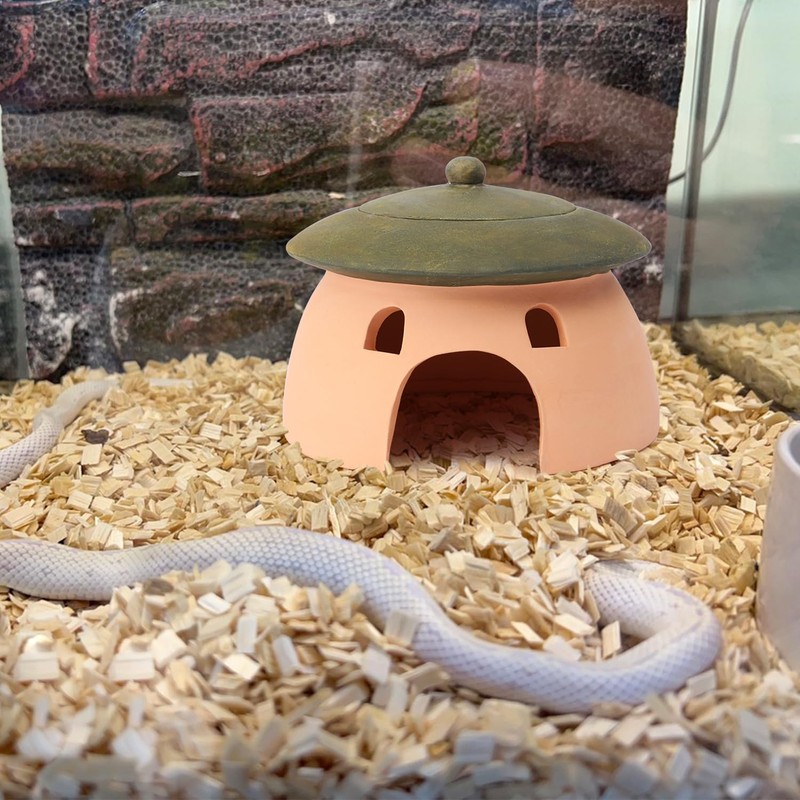 Terracotta Reptile Cave with Green Lid - 8 * 6