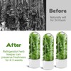3 Pack Herb Saver for Refrigerator Large Fresh Herb Keeper