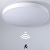 Etrogo LED Ceiling Light with Radar Motion Sensor and Twilight