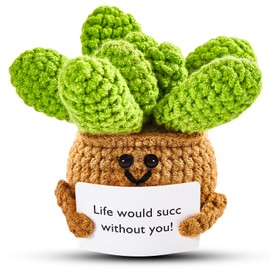 Hoedia Positive Succulent Plant Friend Gifts: Emotional Plant Crochet Dolls Birthday Gifts for Women Men Coworkers Student Roommate - Cheer Up Cute Funny Support Positive Potato Desk Decors