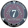 7 Year AA Coin Silver Color Plated-Medallion, Recovery Chip, 12