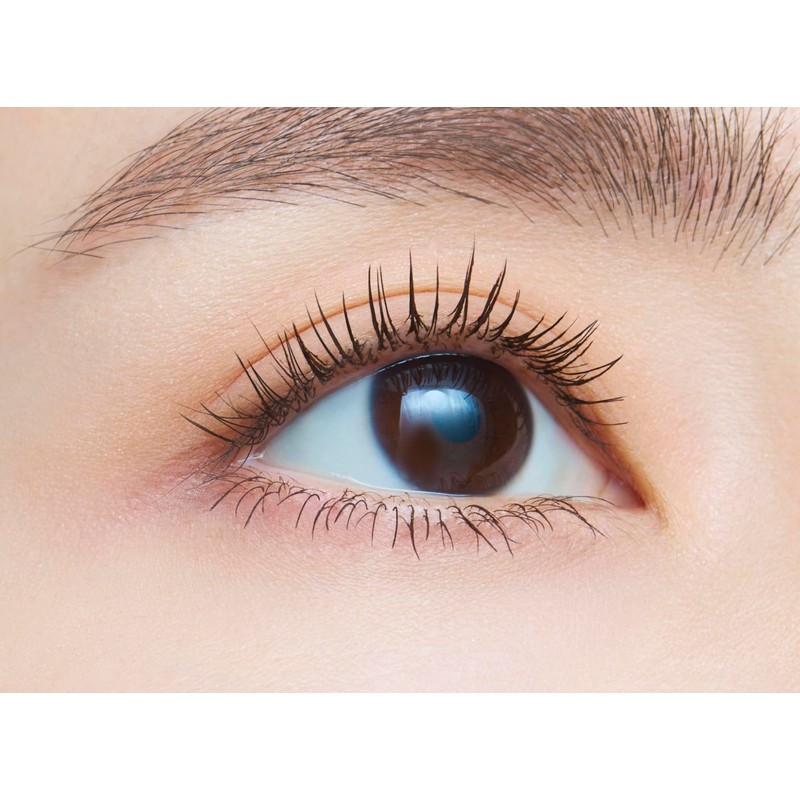 dejavu Applying False Eyelashes Volume Type Lash Knockout Extra Volume