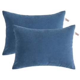 NTBAY 2 Pack Pillows, 13"x18" Microfiber Pillows for Travel, Pets, Machine Washable Small Pillows for Neck, Wrist, Lumbar and Knee, Denim Blue
