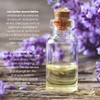Camylle - Elinya massage oil - high-quality massage oil for