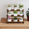 YINMIT Wooden Display Riser Stand,15.75 Inch Tiered Perfume and Cologne