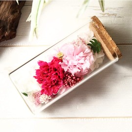 Tea Sight Preserved Flower Bottle Flower Gift Soleil Mother's Day Present Carnation Pink