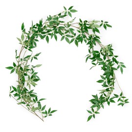 Ling's moment Artificial Hanging Vine 6FT Arch Wreath Faux Greenery Garlands for Wedding Arch, Rehearsal Dinner, Bridal Shower, Backdrop Photo Booth, Table Runner,Centerpieces, Greenery Decorations