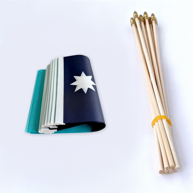 TSMD New Minnesota MN State Flag on Wood Stick Small