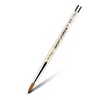 Aokitec Kolinsky Acrylic Nail Brush #22 Sable Acrylic Brush for
