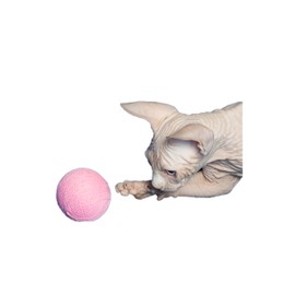 CattyMan Cat Cat Ball Play Karafuru