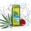 Shampoo Yves Rocher Anticaspa de 300mL de 300g