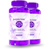 purple tree Post-Celebration Wellness Supplement for After-Drink Support | Hydration