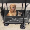 QWORK® Universal Handcart Rain Cover Transparent Rain Cover with Zip