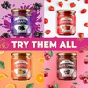 ChocZero Raspberry Jam Preserves, No Added Sugar, Keto Fruit Spread,
