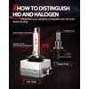 Torchbeam D1S HID Headlight Bulbs, 6000K Cool White, 150% Lighting