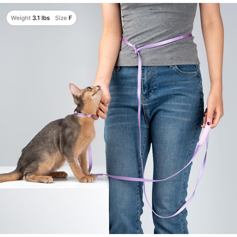 BuddyArmor Cat Harness and Leash Set, Lightweight Escape Proof Cat