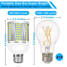 ELIVERN 2 Pack 200W Equivalent Led Corn Light Bulb, 3000 Lumen 5000K Daylight White 30W LED Corn Lamp, E26/E27 Base LED Light Bulb for Home Garden Garage Backyard Street Office Household
