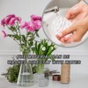 Spiral Ikebana Stem Holder, 2024 New Spiral Stem Holder for
