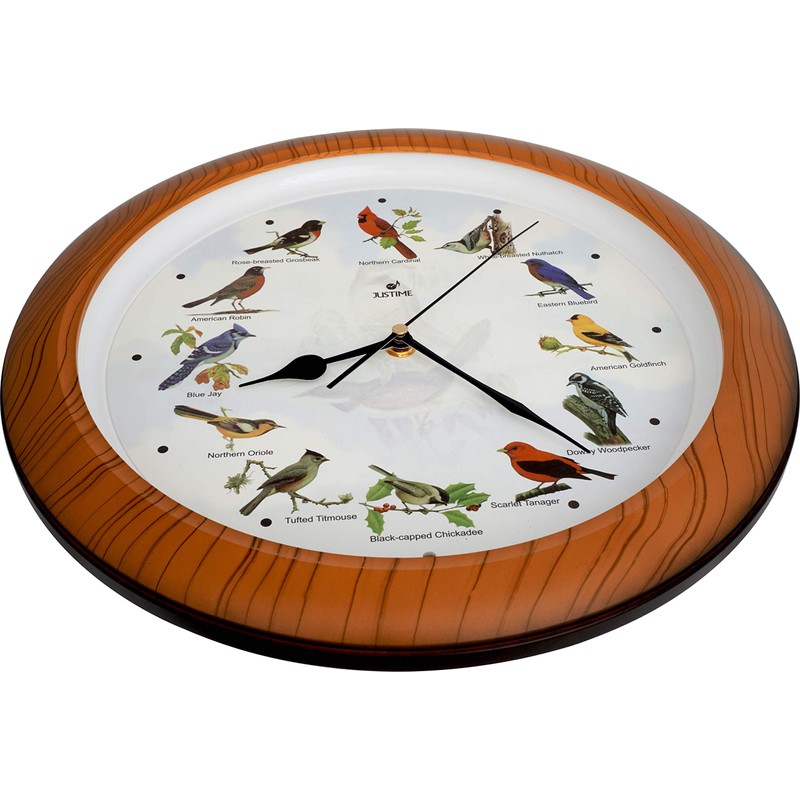 Lovely Collection 14-inch Plays 12 Popular North American Bird's Songs