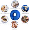 Inflatable Dog Collar, Adjustable Dog Collar, Leak Protection, Blue, L