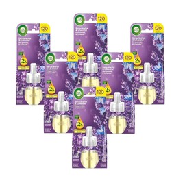 Air Wick Duftstecker Nachfüller – Duft: Bergamotte und Lavendel – Floraler Raumduft für die Steckdose – 6x 19ml Duftölflakon-Nachfüller