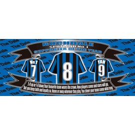 Roch (The Dale) Football Shirt Silver Aluminium Two Lid Unisex Water Bottle Gift