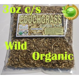 couch grass,couchgrass,dog grass,grama,raiz de grama,grass root,Elymus repens !!